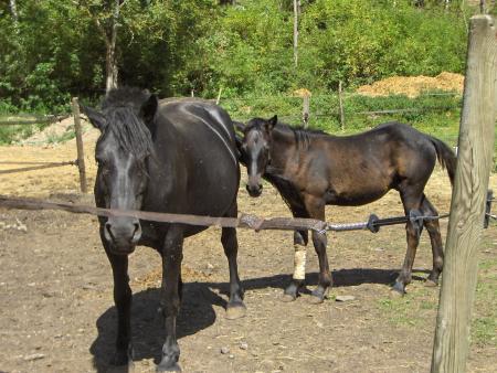 voici le r�ve de ma ch�rie 